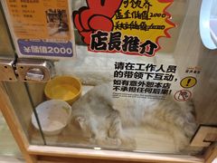 -屋虎猫馆(宝安大仟里店)