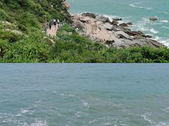 -广东惠东海龟国家级自然保护区