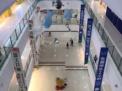 -上海颛桥万达广场
