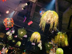 大堂-胡桃里音乐酒馆(下沙店)