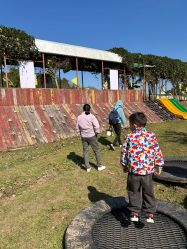 -阿菠萝小猪农场·萌宠乐园·亲子游·研学