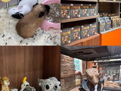 -天河城购物中心