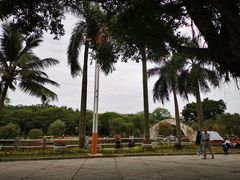 -金砂公园