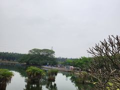 -海上田园