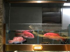 -ONE FULL 古董港式海鲜火锅