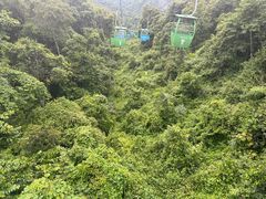 -野象谷景区
