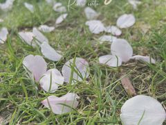 -龙美术馆(西岸馆)