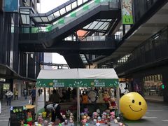-江燕路万科里
