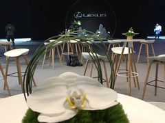 -荷兰布尔玛国际花艺学院