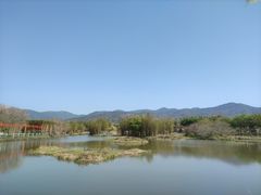 -天适樱花悠乐园