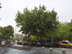 -新江湾城公园