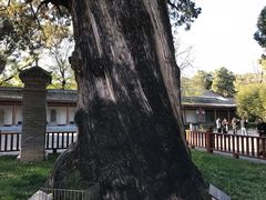 -黄帝陵