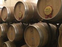 -北京张裕爱斐堡酒庄