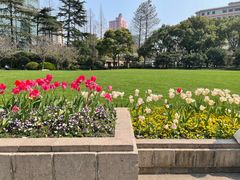 -静安公园(静安寺街道)