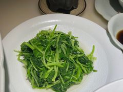 -淮扬府·游园京梦(北京SKP店)