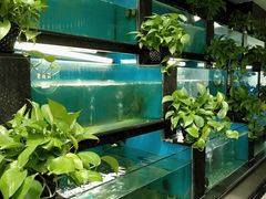水产区-王家渡火锅店(棕榈泉店)