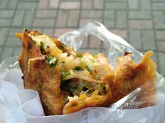 -半月镰胡姐脆皮萝卜饺子