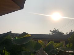 -悦哉·派对·草坪婚礼·围炉煮茶(三圣乡店)