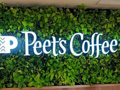 -Peet's Coffee皮爷咖啡(大学路店)