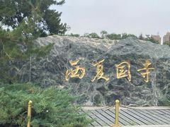 -张掖大佛寺景区