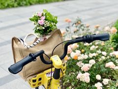 -双季花艺园艺市场(浦东店)