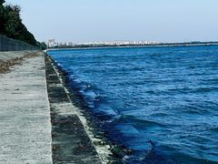 -贡湖湾湿地公园