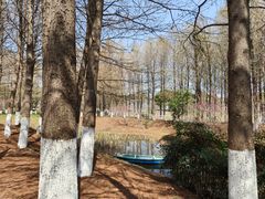 -阳澄湖半岛旅游度假区