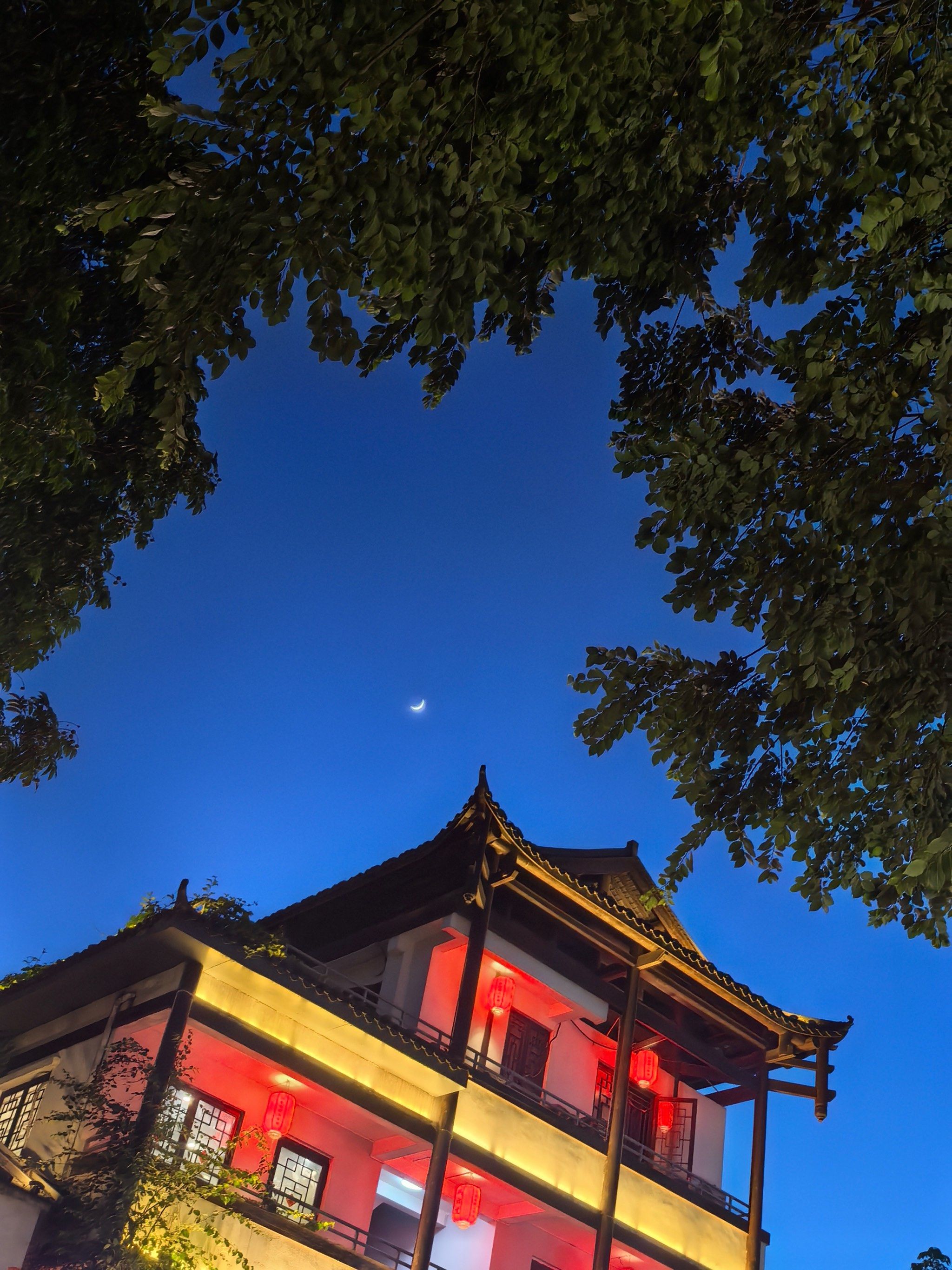 夏天的夜晚总是很浪漫