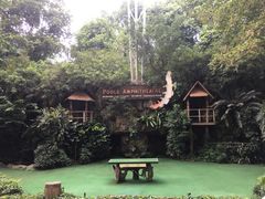 -新加坡飞禽公园