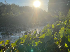 -燕郊植物园