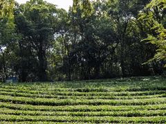 -敬亭山风景名胜区