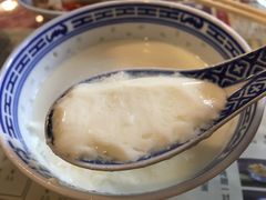 招牌姜撞奶-捷信牛奶甜品世家(五道口店)