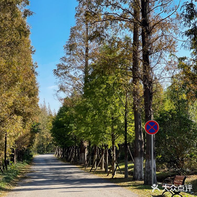南通小众拍照打卡地📸秋冬限时美景🍂