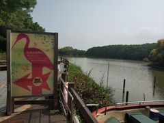 -大湾区中央湿地公园