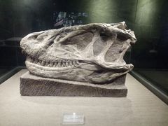 -自贡恐龙博物馆