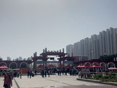 -曹州牡丹园