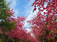 -洛龙公园