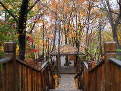 -天女山森林公园