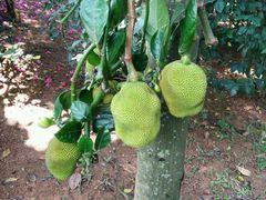 android_upload_pic-大沙河公园