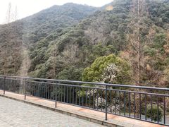 -宁海森林温泉