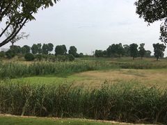 -漕湖湿地公园