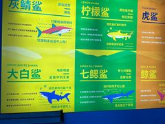 -常州海昌海洋探索馆
