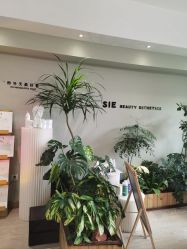 -Lumi露米·美甲美睫品质店