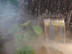 -龙宴海鲜城(经中路店)