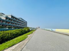 -南汇嘴观海公园