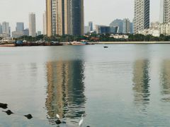 -深圳湾公园(南山区)