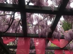 -北京市劳动人民文化宫(太庙)