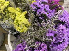 -鹿岛会员店 (龙湖三千集天街店)