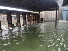 -春晖园度假酒店温泉