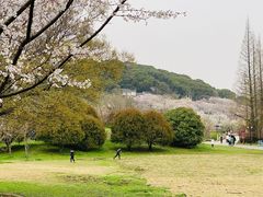 -苏州上方山国家森林公园